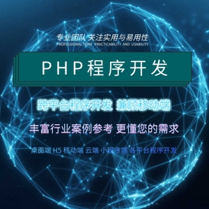 PHP/C#/JAVA跨平台手机移动端电脑端软件网站/小程序系统开发定制