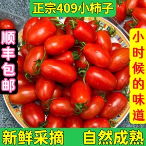 东北丹东409小柿子新鲜水果碱地花生牛奶草莓小番茄西红柿5斤包邮