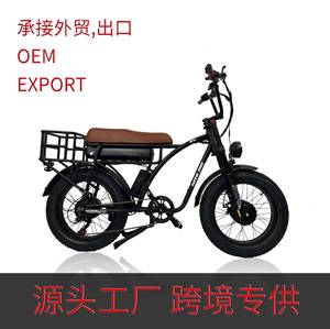 外贸出口48V/1000W大功率双轮毂电机货运电动自行车7速变速