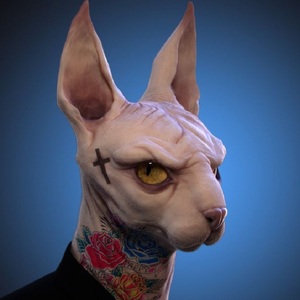 宠物猫咪活体加拿大无毛猫斯芬克斯幼猫比鲁斯纯种精灵芭比诺幼崽