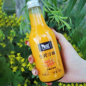 00tb897667875淘宝待见沙棘汁饮料248mlx6瓶 酸甜可口 vc果汁 玻璃