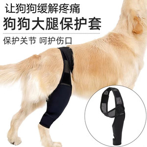狗狗髌骨保护带宠物腿部骨折固定护具辅助瘸腿护膝术后受伤保护套