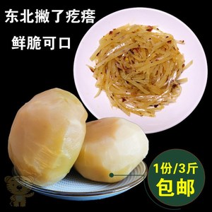 东北咸菜苤蓝人头疙瘩3斤/份鲜脆爽口下饭菜大头菜撇了疙瘩包邮