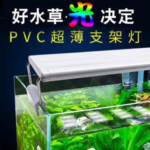 鱼缸爆藻灯萌虫