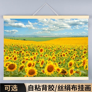 向日葵背景墙贴图装饰挂画太阳花玻璃贴纸风景花卉图片海报向阳花