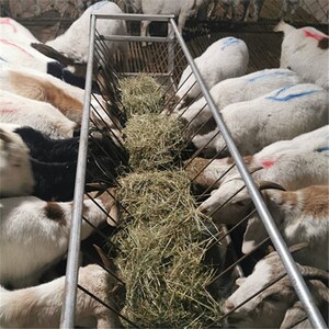 组装拆卸喂羊的食槽镀锌料不锈钢羊槽带架子可养殖专用自料槽