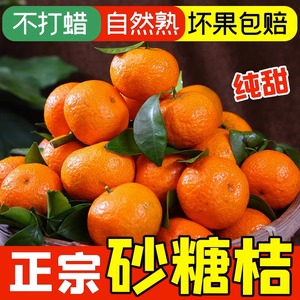 正宗广西砂糖橘10斤新鲜水果当季超甜橘子无籽小沙糖桔子整箱包邮