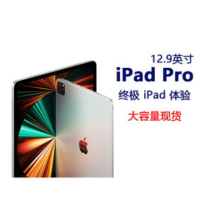 apple/苹果ipadpro12.
