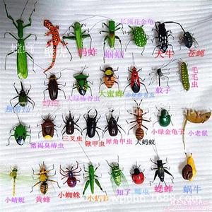 000人付款淘宝蝈蝈活体 叫蝈蝈 蚂蚱 土拐子叫驴 铁皮黑蝈蝈 山青蝈蝈