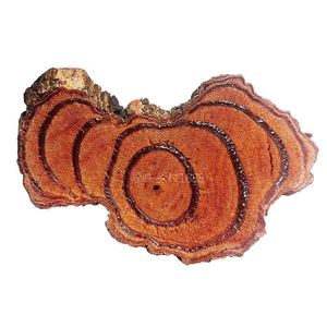 正宗广西鸡血藤野生纯天然无添加中药材泡酒煲汤泡脚活血化瘀