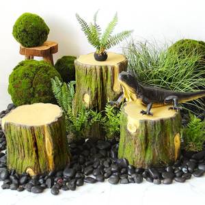 假树桩装饰
