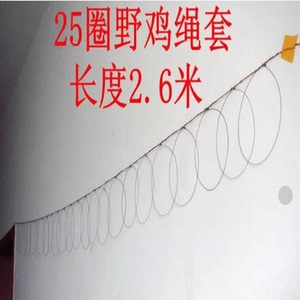 养殖竹鸡笼竹鸡斑鸠白面水鸡鸟笼鹧鸪毛鸡工具网套子画眉鸟套笼子