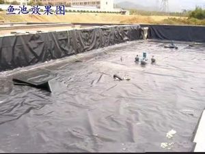 鱼塘防渗膜鱼池氧化塘车间塑料养殖膜护坡膜防水膜加厚填埋场沼气