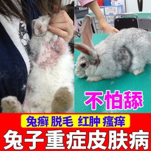 兔药专用药兔子龙猫皮肤病喷剂外用脱毛癣脚皮炎螨虫真菌药止痒膏