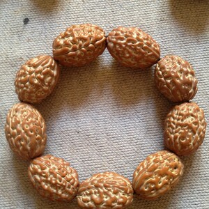 天然原色长寿金刚菩提子 3瓣4瓣金刚菩提手串 diy菩z提散珠佛珠