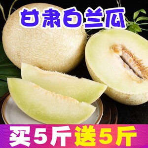 【黄河白甜瓜】甘肃白兰瓜新鲜2/10斤大果甜瓜沙漠种植哈蜜瓜水果