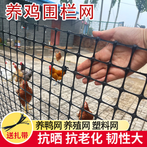 家用养鸡拦鸡塑料围栏网家禽养殖防护网鸡舍篱笆围栏栅栏养殖网