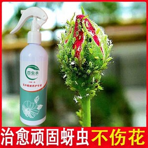 杀虫王百虫灵杀虫剂花卉杀虫药植物通用花药喷雾剂小飞虫