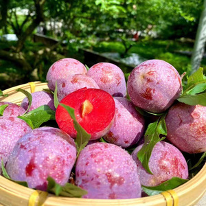 钱排银妃三华李新鲜孕妇水果酸甜脆当季红心李子现货现摘5斤整箱