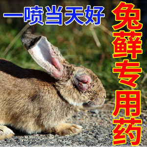 90同款货源bqzwana淘宝兔子耳螨药兔癣皮肤病耳朵瘙痒结痂真菌