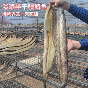 淡晒鳗鳞鱼干货整条青岛特产海味非大地