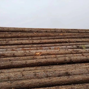 杉木打桩木河道驳岸木头桩绿化苗木支撑杆工程建筑防汛挡土松木桩