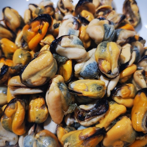 海虹淡菜贻贝青口贝纯肉三斤包邮