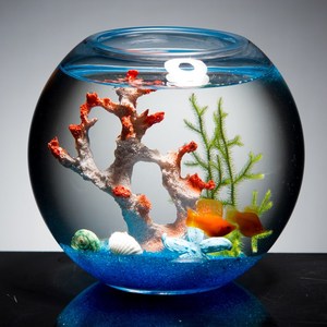 网红鱼缸小鱼缸内饰造景摆件小型生态鱼缸热带鱼客厅玻璃裸缸圆形