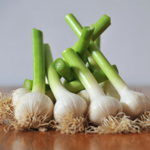 大马牙子蒜湿蒜白皮鲜蒜嫩蒜白皮嫩蒜糖蒜现挖现卖2022新蒜白皮新