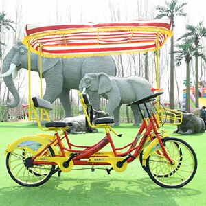 观光自行车四轮