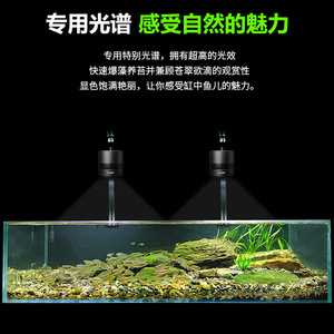 兰保爆藻灯全光谱led生态养苔灯兰寿金鱼专用暴藻灯青苔显色水草