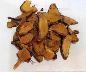 野生青藤红蛇根 小红蛇 将军木 仙女穿红袍 500克