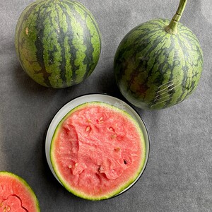 袖珍小西瓜 1颗 约3斤 当季新鲜水果 迷你西瓜 口感脆甜 限北京