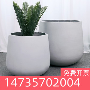 【小天堂鸟】小天堂鸟品牌,价格 - 阿里巴巴