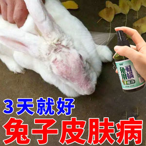 兔子皮肤病专用药真菌感染兔癣脚皮炎烂脚药掉毛疥螨结痂特效喷雾