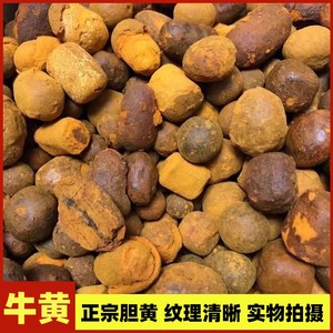 xue12333淘宝正品天然 牛黄 牛胆黄1g牛结石丑宝1