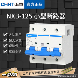 德力西型大电流断路器NXB-125家用空气开关80A100A125A总开DZ158