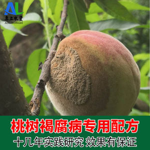 桃子专用药褐腐病农药花皮果黑斑果桃树李子树喷施农用黑星杀菌剂
