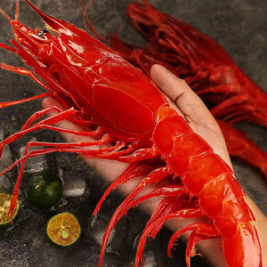 特大红魔虾鲜活速冻超大刺身甜虾生腌海鲜非西班牙进口海鳌虾