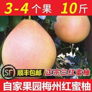 顺丰梅州红心柚红肉蜜柚三红柚10斤大果当季新鲜水果柚子