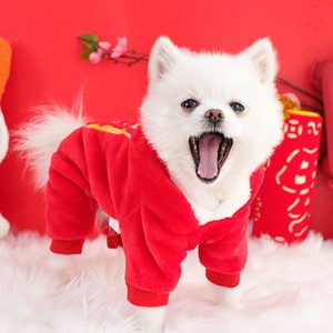 幼犬长不大的茶杯灰色红色白色迷你型贵宾宠物狗狗衣服严兰