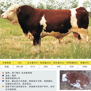 【牛冻精子】牛冻精子品牌,价格 - 阿里巴巴