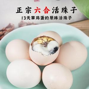 南京特产草鸡蛋六合活珠子13天新鲜土鸡蛋胚胎毛鸡蛋生鲜小鸡胚蛋