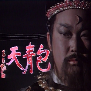 包邮 原盘电视剧包青天华视1993金超群版 盒装48碟 dvd5光盘 碟片