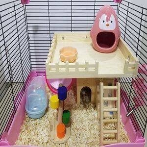 仓鼠笼子木制实木