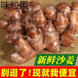 沙姜新鲜山奈三奈广东白切鸡种子苗老生姜香料调味配料_阿里巴巴找货