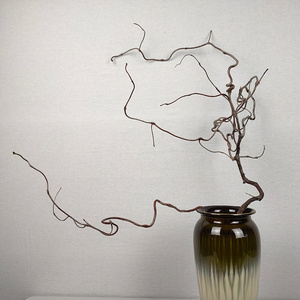 禅意造型弯曲树枝装饰花艺造景天然干支枯树枝摆件龙须龙枣树枝