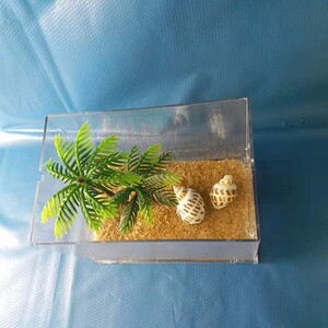 迷你桌面生态系统缸辣椒蟹系小宠物鱼缸造景乌龟缸茶几小型草缸