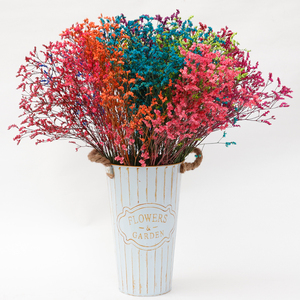 云南鲜花卉七彩色水晶草干花束真花满天星 散装论斤卖零售pf0101