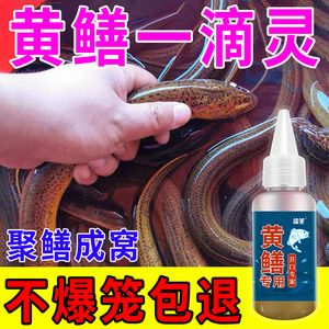 黄鳝小药鳝鱼专用新手野钓开口灵黄鳝饵料高效诱食剂瓶装添加剂